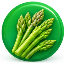 Asparagus racemosus